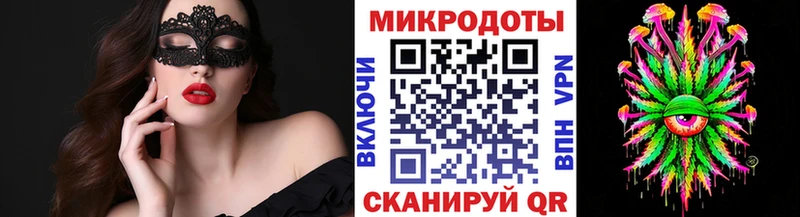 Галлюциногенные грибы Psilocybine cubensis  Купить где  Барыш 
